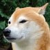 とある都内のハメ撮りマン (@hamedorimanman) Twitter profile photo とある都内のハメ撮りマン (@hamedorimanman) Twitter profile photo