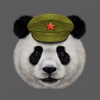 ShanghaiPanda (@thinking_panda) 's Twitter Profile Photo ShanghaiPanda (@thinking_panda) 's Twitter Profile Photo