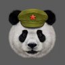 thinking_panda's profile picture. He left us on August 16th after a sudden illness.