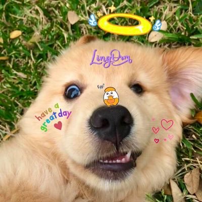 KworrCha's profile picture. #GFRIEND #VIVIZ #UMJI #linglingkwong #ormkornnaphat #AbuChickenStory | NNN | BAC 🐽 | ลักยิ้มออมก้อนครองใจ รอยยิ้มเยวอนนี่ครองฟ้า ตายิ้มพี่หลิงครองโลก — 🦋🌈☀️