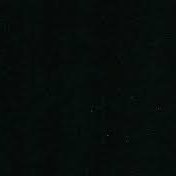 ramborarah's profile picture. wsg