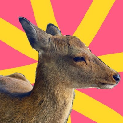 こじか手工業(実写)さんのプロフィール画像