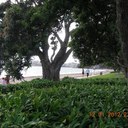 Natasha Lambert - @LambertNatasha - Twitter