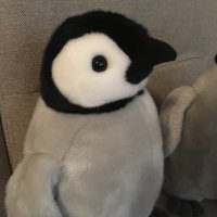 みやかわ (@miyakawapen08) 's Twitter Profile