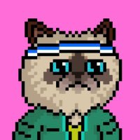Capt C⭕️y 💙🐟 (@chic0y) 's Twitter Profile Photo Capt C⭕️y 💙🐟 (@chic0y) 's Twitter Profile Photo