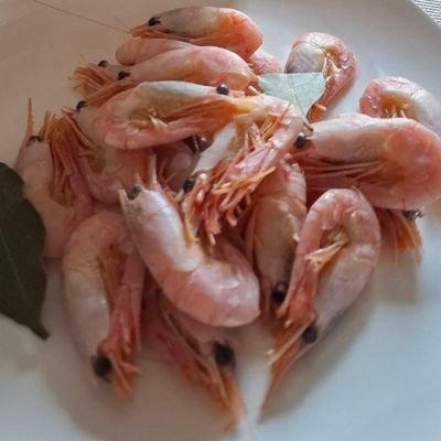 SlavaLykee's profile picture. Every great fortune starts with an empty wallet and a strong belief!

0x77D24C8102E11490fA83d42a0b218B5Fe19d4061

ETH