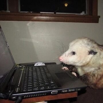 tecumsah_valley's profile picture. Eleatic. Help delete diseases forever