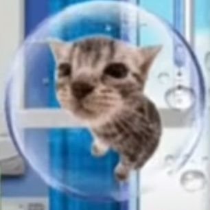 gshollyr's profile picture. Just three dogs in a trench coat • she/her