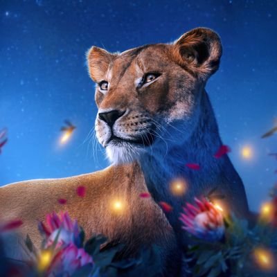 motherofSimba23's profile picture. big sister naanda
 Mate: mufasa
cub:@YoungSimbaCub
mom: uru
dad: ahadi