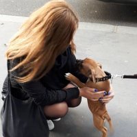 Orfane (@tatianaperitif) 's Twitter Profile Photo Orfane (@tatianaperitif) 's Twitter Profile Photo