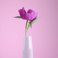 شاعری کی دنیا (@world_ofpoetry) 's Twitter Profile