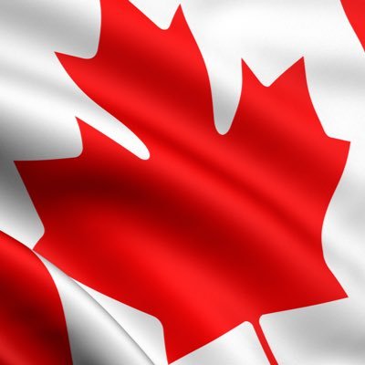 I am a professional artist working in Mississauga, Canada. I am the owner of Pazán Gallery and work as a professional graphic artist and painter.