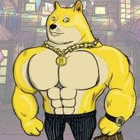 Satoshi Rogue (@satoshirogue) 's Twitter Profile
