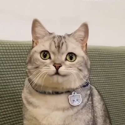 serius2tahun's profile picture. 