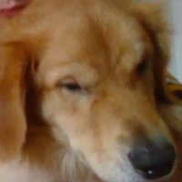 Mike Moneybags (@mikemoneyb14628) 's Twitter Profile