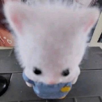 dongdongi0118's profile picture. 