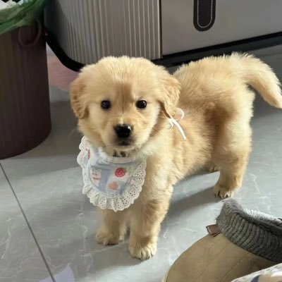 @wanwink_p