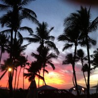 calisummer (@calisummer) 's Twitter Profile