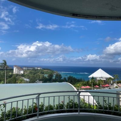 Nickelsdimez's profile picture. $TSLA