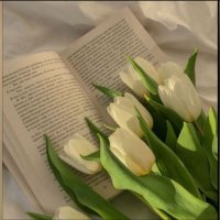 Nada☕️ (@5505qwe) Twitter profile photo