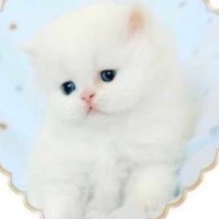 🫧 bry!!! (@stitchestitched) 's Twitter Profile