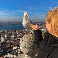 Gulmurad (@gulmurad89) 's Twitter Profile