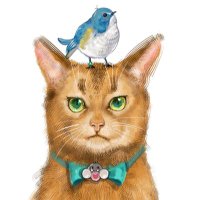こけ (@naaaaanaura) 's Twitter Profile Photo こけ (@naaaaanaura) 's Twitter Profile Photo