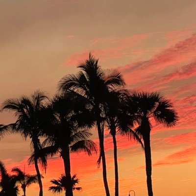 newspo800's profile picture. 