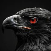 realskidware's profile picture. 