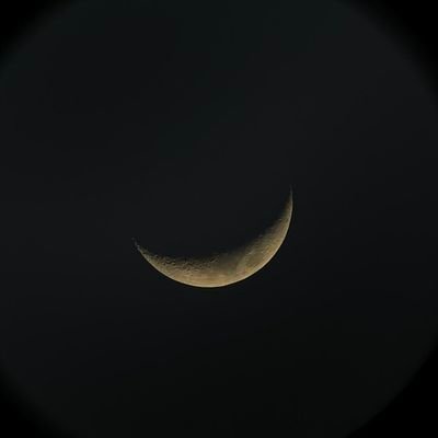 DT2PZer0's profile picture. 