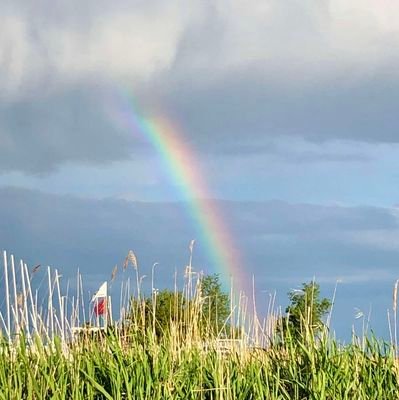 KlaraMSchenk's profile picture. https://t.co/uCnlcCttta