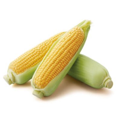 mmminnn4210's profile picture. 🌽🐦⬛