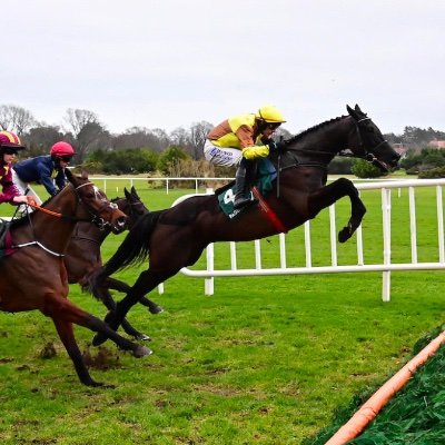 Horse racing enthusiast providing the latest news and my OWN daily personal selections.
Follow at your own risk! +18s
#horseracing
#begambleaware