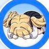 勇者いちろうさんのプロフィール画像