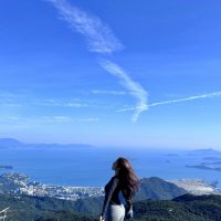 Noemi (@hsps61309) 's Twitter Profile