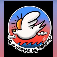 deli dünya (@filizerbektas) Twitter profile photo