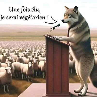 MizibuCedr90167's profile picture. Jurisconsulte. 
Spécialiste En Droit Public
