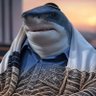 pkpacket's profile picture. Hajen som vet för mycket!🦈 På Julafton äter jag på Restaurang Guldberget! 🥢🍚