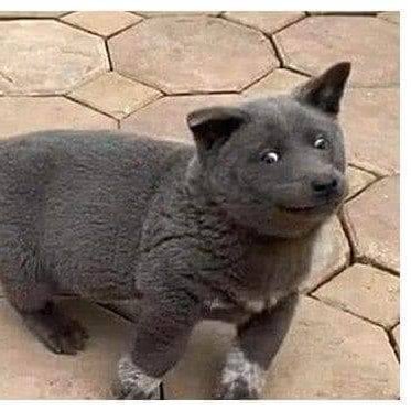 EC_OuOb's profile picture. 