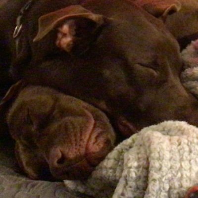 BrendanCro63371's profile picture. 