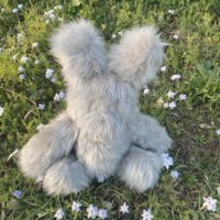 アン (@h0rkn7) 's Twitter Profile