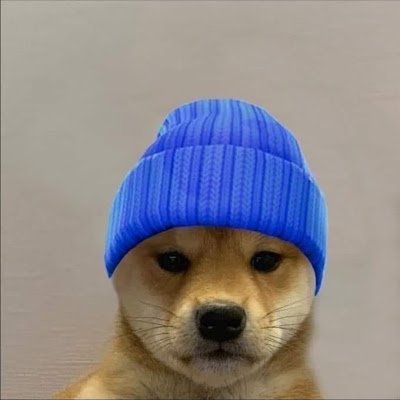 GustavoVal86673's profile picture. 