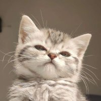 ไข่ดาว🍳ᥫᩣ•◡̈• (@nnbb39) 's Twitter Profile Photo ไข่ดาว🍳ᥫᩣ•◡̈• (@nnbb39) 's Twitter Profile Photo
