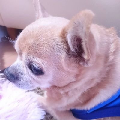 yun_desu's profile picture. ※ファッション、美容、ハイボール、コスメ大好きです☆