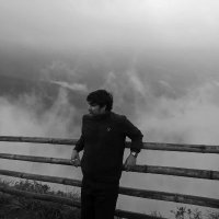 avhi.sol (@avhidotsol) 's Twitter Profile