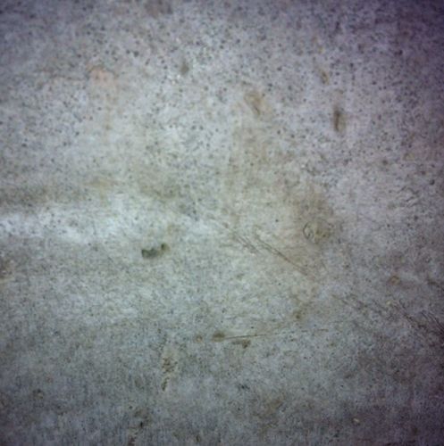 mclel1970's profile picture. I can drive with my eyes closed.