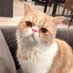 つむぎ日記. (@poyostagramer) Twitter profile photo つむぎ日記. (@poyostagramer) Twitter profile photo