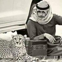 احمد الدليمي (@ahmed_t1i) 's Twitter Profile