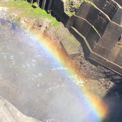 infinityeito1's profile picture. 一般男性の鏡