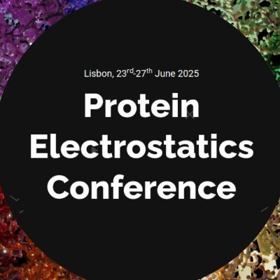 ProtElec_Conf's profile picture. Bringing together theorists and experimentalists in the field of electrostatics of biomolecular systems. Lisbon, 23rd-27th June.